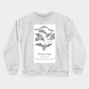 Hoary Bat Anatomy Crewneck Sweatshirt